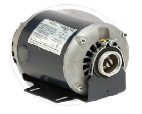 MOTOR-6079.jpg